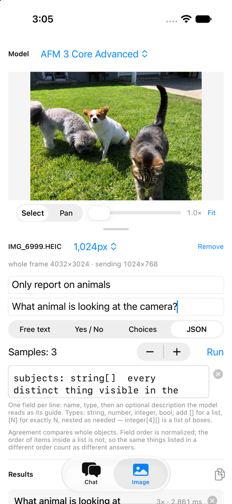 The photograph and the run configuration on iOS — two dogs and a cat on a lawn